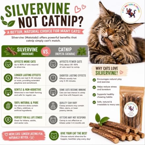 Extra Thick Silvervine Sticks for Cats, Natural Matatabi Cat Chew Sticks, 10 Pack, 8–12mm Thick, 4.75" Long, Catnip Alternative, Dental Chew Toy by Kitty Whiskers Playhouse - Image 2