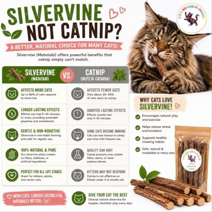 Extra Thick Silvervine Sticks for Cats, Natural Matatabi Cat Chew Sticks, 10 Pack, 8–12mm Thick, 4.75" Long, Catnip Alternative, Dental Chew Toy by Kitty Whiskers Playhouse - Image 2