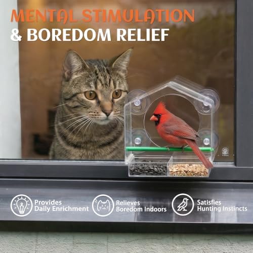 Cat Window Bird Feeder for Indoor Cats, Bird Watching TV for Cats - Image 3