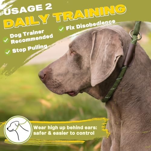 Fida Durable Slip Lead Dog Leash, 4 FT x 1/2" Dog Training Leash, Green - Image 5