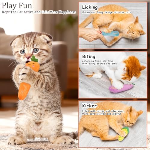 ETEKYER Catnip Cat Toys for Indoor Cats, Vegetable Shape 5 Pack - Image 5