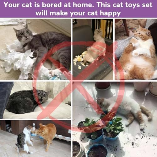 Retro Shaw Interactive Cat Toys for Indoor Cats Kitten,Relieve Bored,25PCS - Image 4