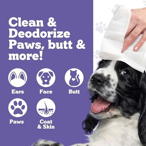 Pets XL Hypoallergenic Lavander Dog Grooming Cleaning Cloths 4 Pack - Image 2