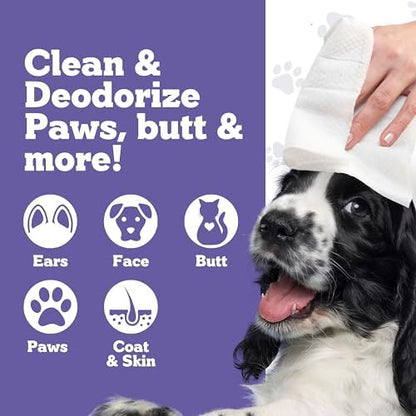 Pets XL Hypoallergenic Lavander Dog Grooming Cleaning Cloths 4 Pack - Image 2