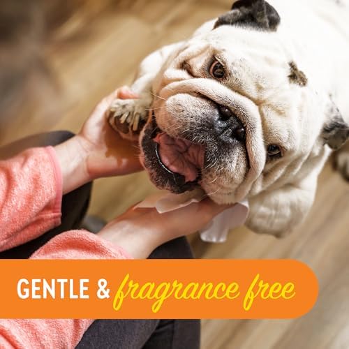 Dogtopia Cleansing Facial Wipes for Pets | Convenient Face Cleaning Wipes (60 Count) for Dogs and Cats | Hypoallergenic, Fragrance-Free, Remove Eye Discharge and Tear Stains - Image 4