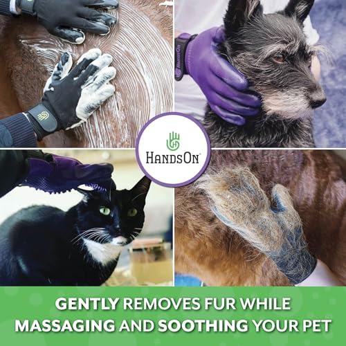 H HandsOn Pet Grooming Gloves - Patented #1 Ranked, Award Winning Shedding, Bathing, & Hair Remover Gloves - Gentle Brush for Cats, Dogs, and Horses (Mono Purple, Junior) - Image 2