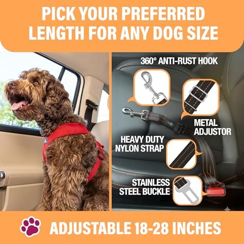 Active Pets Orange Car Seat Belt for Dogs, Attaches to Harness & Collar, Adjustable 18" - 24" Travel Restraint System Fits Small - Large Pups for Safety & Comfort, Essential Pet Supplies & Accessories - Image 3