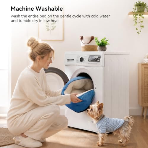 Asvin Small Dog Bed for Small Dogs, Cat Beds for Indoor Cats, Pet Bed for Puppy and Kitty, Extra Soft & Machine Washable with Anti-Slip & Water-Resistant Oxford Bottom, Light Blue, 20 inches - Image 5