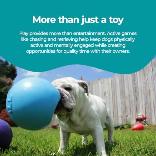 Jolly Pets Bounce-n-Play Dog Toy Ball, 6 Inches, Blueberry, All Breed Sizes - Image 4