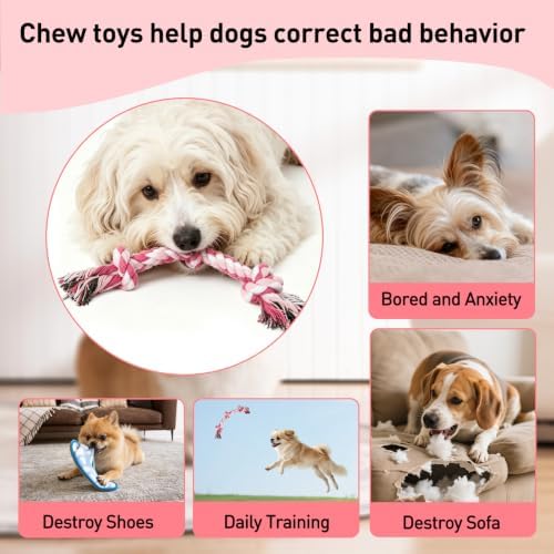SZEE Dog Rope Toy 2-Pack, Rope Toys for Dogs, Suitable for Small Breeds - Image 4