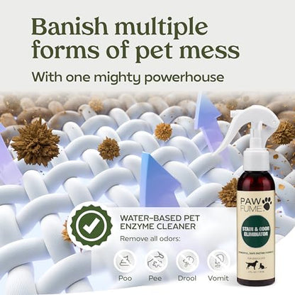 PAWFUME Stain & Pet Urine Odor Eliminator, 2-Pack - Image 5