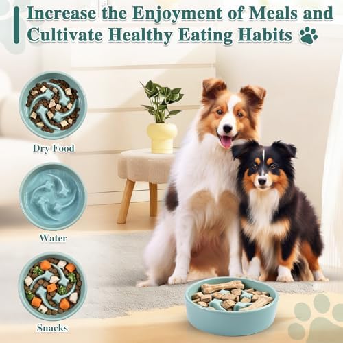 Ceramic Slow Feeder Dog Bowls, 0.6 Cups Dog Food Dish for Small Breed - Image 6