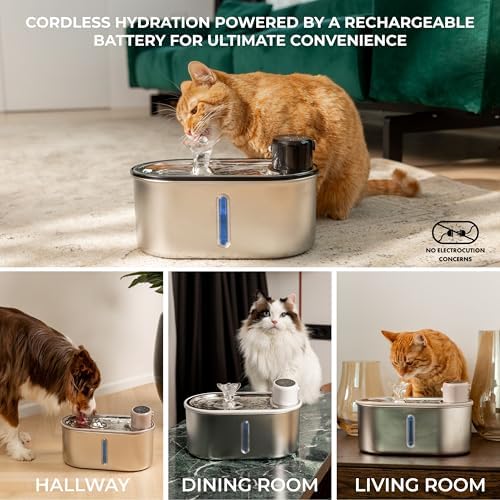 Wireless Cat Water Fountain Stainless Steel 108oz/3.2L, Cordless, Battery Operated Cat Fountain (Last up to 50 Days), Ultra Quiet, 2 Flow Modes, Multi-Filtration, BPA Free, Includes 2 Filters - White - Image 2