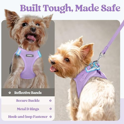 rabbitgoo Dog Harness Medium Sized and Leash Set, Step-in Puppy Pet Vest - Image 4