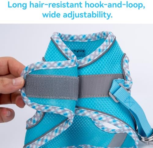Petank Step in Dog Harness No Pull and Leash for Small Medium Dogs Cats. - Image 5