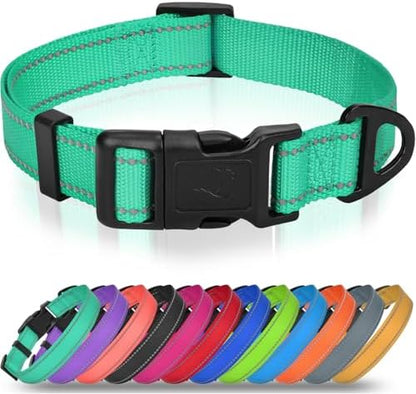 Joytale Feather-Light Dog Collar for Small & Medium Dogs, 3/4", Turquoise by Joytale