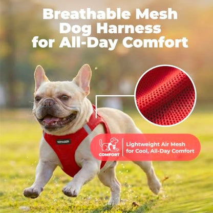 Voyager Step-in Air Dog Vest Harness - Red, XX-Small - Image 5