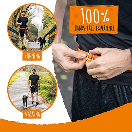 Mighty Paw Hands Free Dog Leash | Bungee Waist Leash for Dog Walking. Pet Running Hands Free Tether for Large, Medium & Small Breeds. Pet Waist Belt (36" - 48") Up to 150 lbs - Orange - Image 6