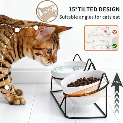 Elevated Cat Food Bowl,Ceramic Raised Water Bowl for Indoor Cats, 15°Tilted Metal Stand Anti Vomiting and Protect Spines,Whisker Fatigue Feeding Dishes,Non-slip and Dishwasher Safe - Image 2