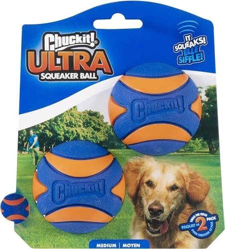 Chuckit! Ultra Squeaker Fetch Balls for Dogs, Floats, Medium 2.5in, 2 Pack by Chuckit