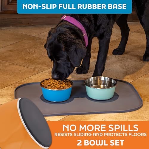 Master Pet Supply Stainless Steel Dog Bowls Set of 2 - Mango Tango - 32 Oz - Image 4