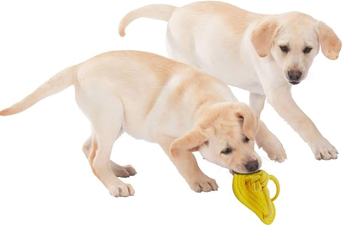 Dog Chew Rope Toy 2Pack, Funny Decoy Toy Shose Natural Cotton Rope Slipper Interactive Pet Chewing Puppy Toys for Dog Walking, Teeth Cleaning (Random Color, 2Pcs)