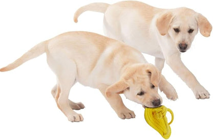 Dog Chew Rope Toy 2Pack, Funny Decoy Toy Shose Natural Cotton Rope Slipper Interactive Pet Chewing Puppy Toys for Dog Walking, Teeth Cleaning (Random Color, 2Pcs)
