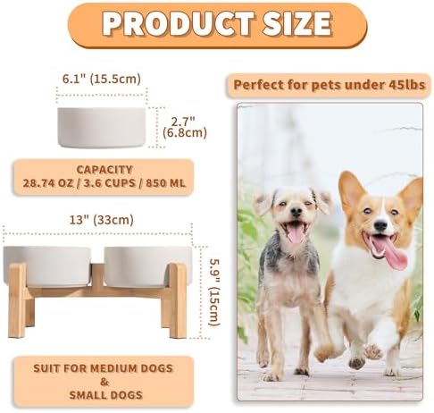 Elevated Ceramic Dog Bowl, 3.6 Cups Dog Food and Water Bowl Set with Stand - Image 2