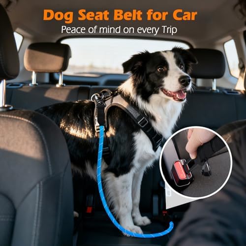 PetBonus Dog Seat Belt for Car, Durable Rope Dog Car Harness for Vehicle - Image 3