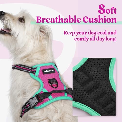 rabbitgoo Dog Harness, No Pull for Small Dogs with 2 Leash Clips, Pet Vest - Image 2