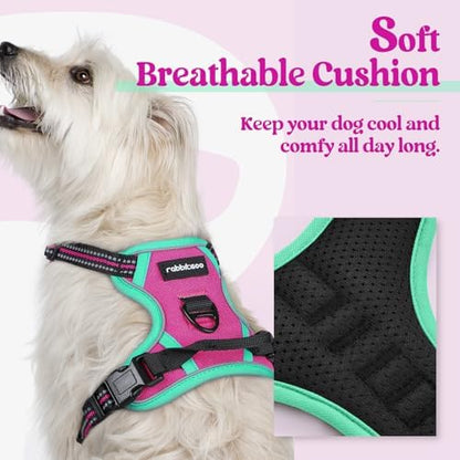 rabbitgoo Dog Harness, No Pull for Small Dogs with 2 Leash Clips, Pet Vest - Image 2