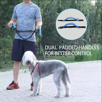 Hands Free Dog Leash with Adjustable Waist Belt, Dual Padded Handles, Elastic Bungee Ropes for Small to Large Dogs, Reflective Stitches for Walking, Hiking, Running and Biking. (Gray/Green, Large)