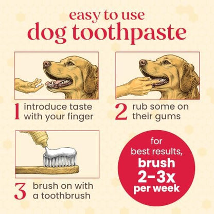 Burt's Bees Manuka Honey Fresh Mint Dog Toothpaste, 2.5 Oz - Image 3