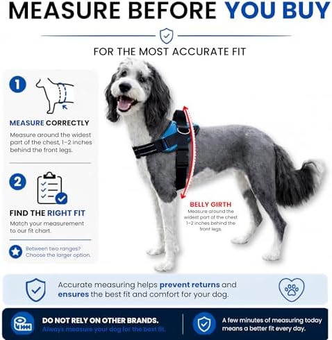 ShawnCo Essential Dog Harness, No-Pull Pet Vest (Seafoam,S) - Image 6