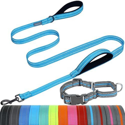 VIVAGLORY Double Handle Dog Leash Twingrip, 5ft x 1in, L, Blue Grey by VIVAGLORY