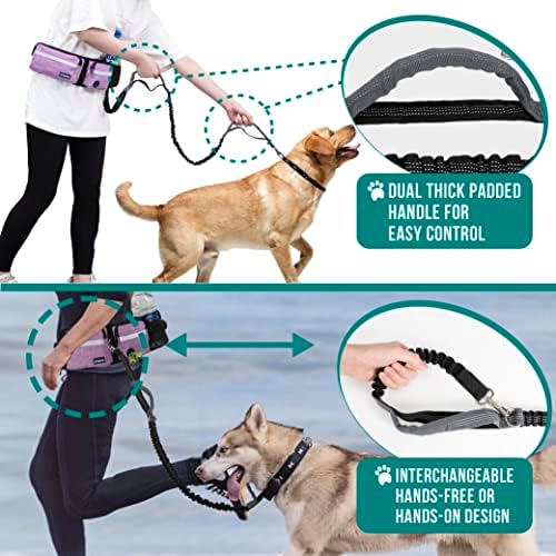 PetAmi Hands Free Dog Leash, Running Leash Belt Bag for Walking, Jogging, Waist Double Zipper Pouch with Poop Dispenser, Dual Padded Handles Reflective Bungee Double, Purple, 2 Leashes - Image 6