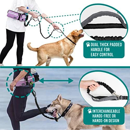 PetAmi Hands Free Dog Leash, Running Leash Belt Bag for Walking, Jogging, Waist Double Zipper Pouch with Poop Dispenser, Dual Padded Handles Reflective Bungee Double, Purple, 2 Leashes - Image 6