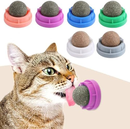 CCINEE 6PCS Catnip Balls for Cats Wall Catnip Toys Edible Cat Toys for Cat Lick Safe Healthy Kitten Chew Toys Teeth Cleaning Dental Cat Toys by CCINEE