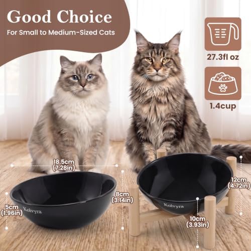 15° Slanted Rim Ceramic Cat Bowl, Anti-Spill for Small Cats,Black - Image 2