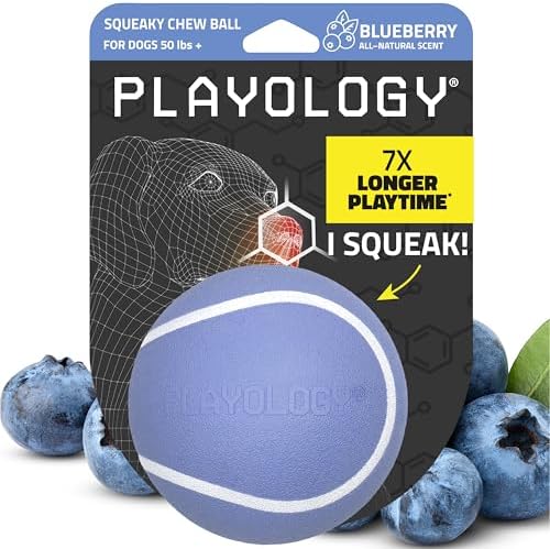Playology Squeaky Chew Ball Dog Toy - Jumbo, Blueberry Scent by Playology