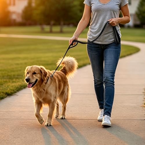 Traffic Handle Dog Leash 10FT Reflective Lead Large Medium Dog - Image 7