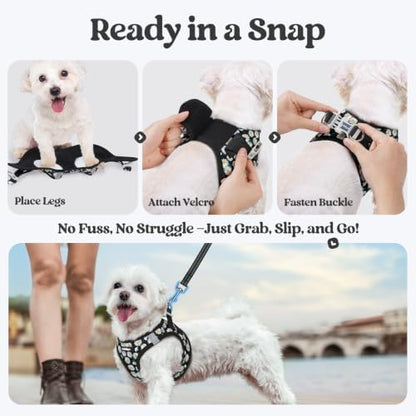 rabbitgoo Dog Harness Small Sized and Leash Set, Step-in Puppy Pet Vest - Image 5
