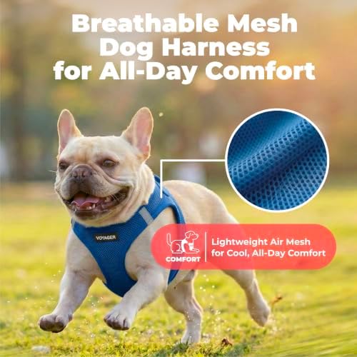 Best Pet Supplies Voyager Step-in Air Harness - All Weather Mesh, Reflective, No Pull Harness for Dogs, Cats - Secure with Hook & Loop Fastener, Buckle, Double D-Rings - Royal Blue, XS - Image 5
