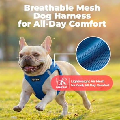 Voyager Step-in Air Dog Vest Harness - Royal Blue, Medium - Image 5