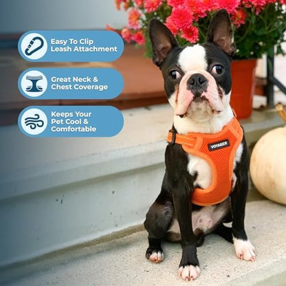 Voyager Step-in Flex Adjustable Dog Harness - Orange, Medium - Image 5