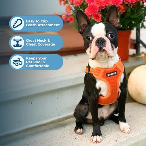 Voyager Step-in Flex Adjustable Dog Harness - Orange, X-Small - Image 5