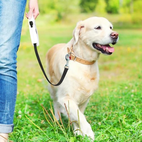 Retractable Dog Leash, 16ft Dog Walking Leash for Small Dogs up to 77lbs, Non-Slip Handle (White) - Image 5