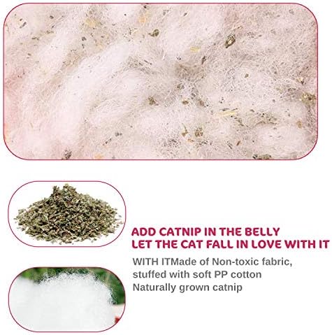 Legendog 5Pcs Catnip Toy, Cat Chew Toy Bite Resistant Catnip Toys for Cats,Catnip Filled Cartoon Mice Cat Teething Chew Toy (Multicolor1) - Image 5