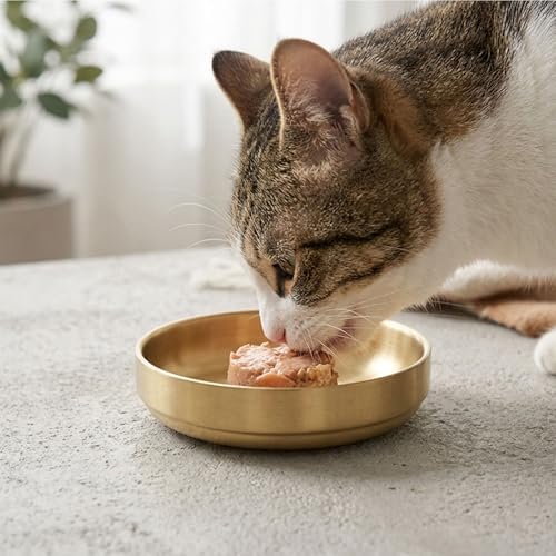 Whisker Fatigue Cat Bowl, 5.9" Shallow Cat Food Dish Stainless Steel, 2 Pcs - Image 6