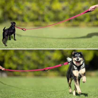 Plutus Pet Double Handle Dog Leash, 6 FT Long, for Medium Large Dogs - Image 6
